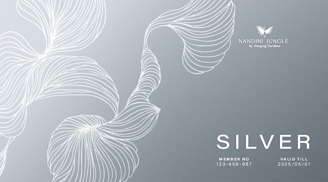Silver member card