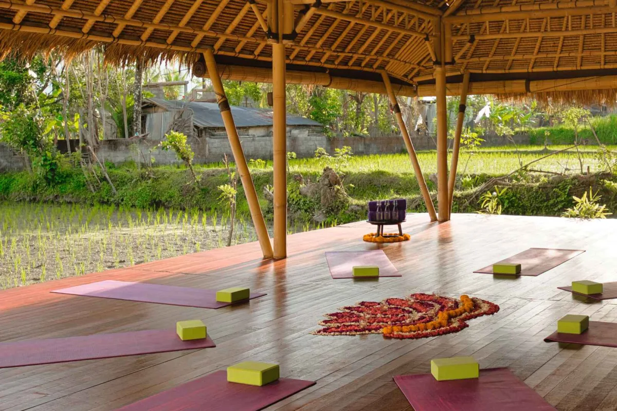 Hatha Yoga & Lunch | Wellness Experience in Nature