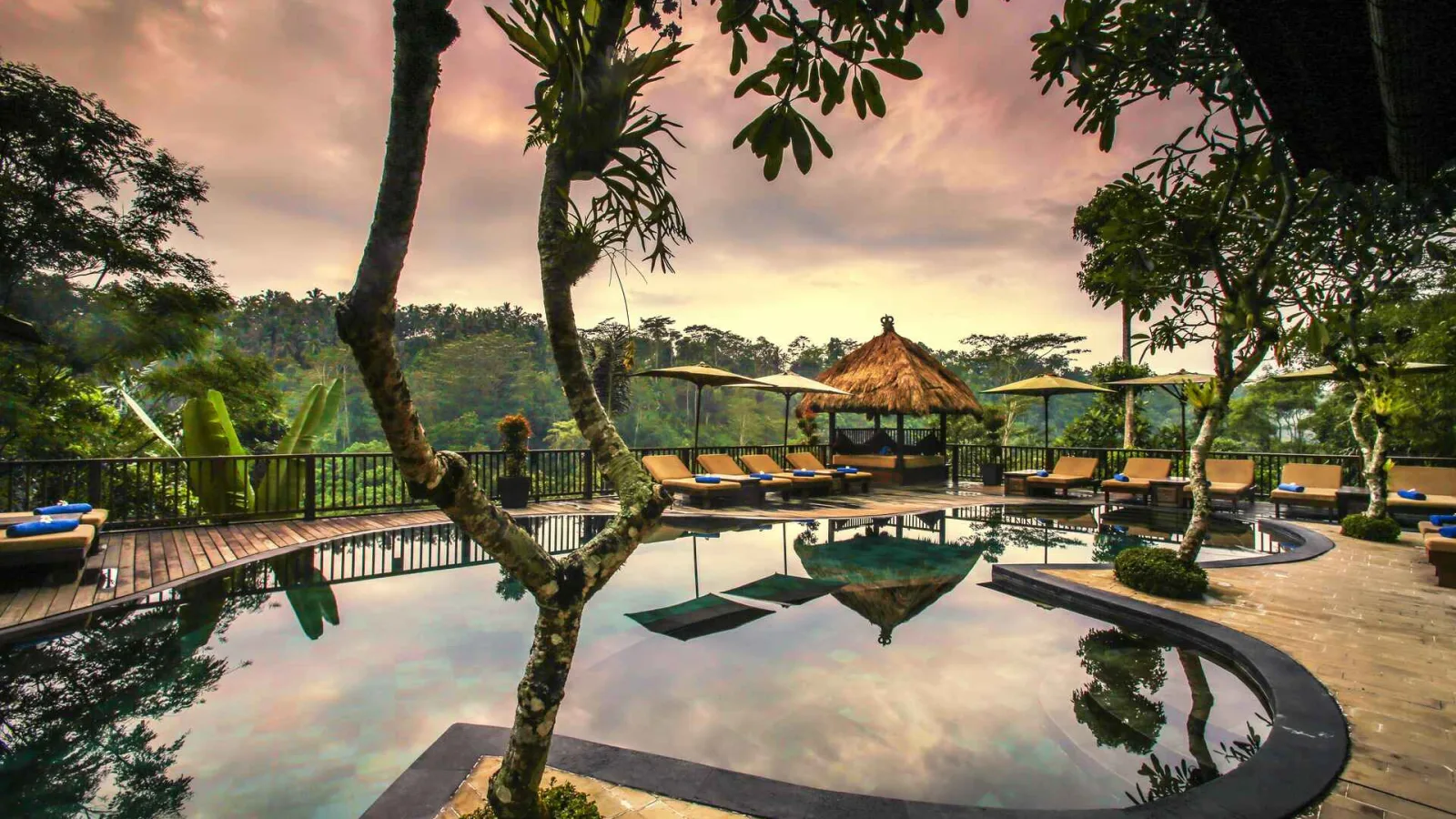 Gallery | Nandini Jungle by Hanging Gardens