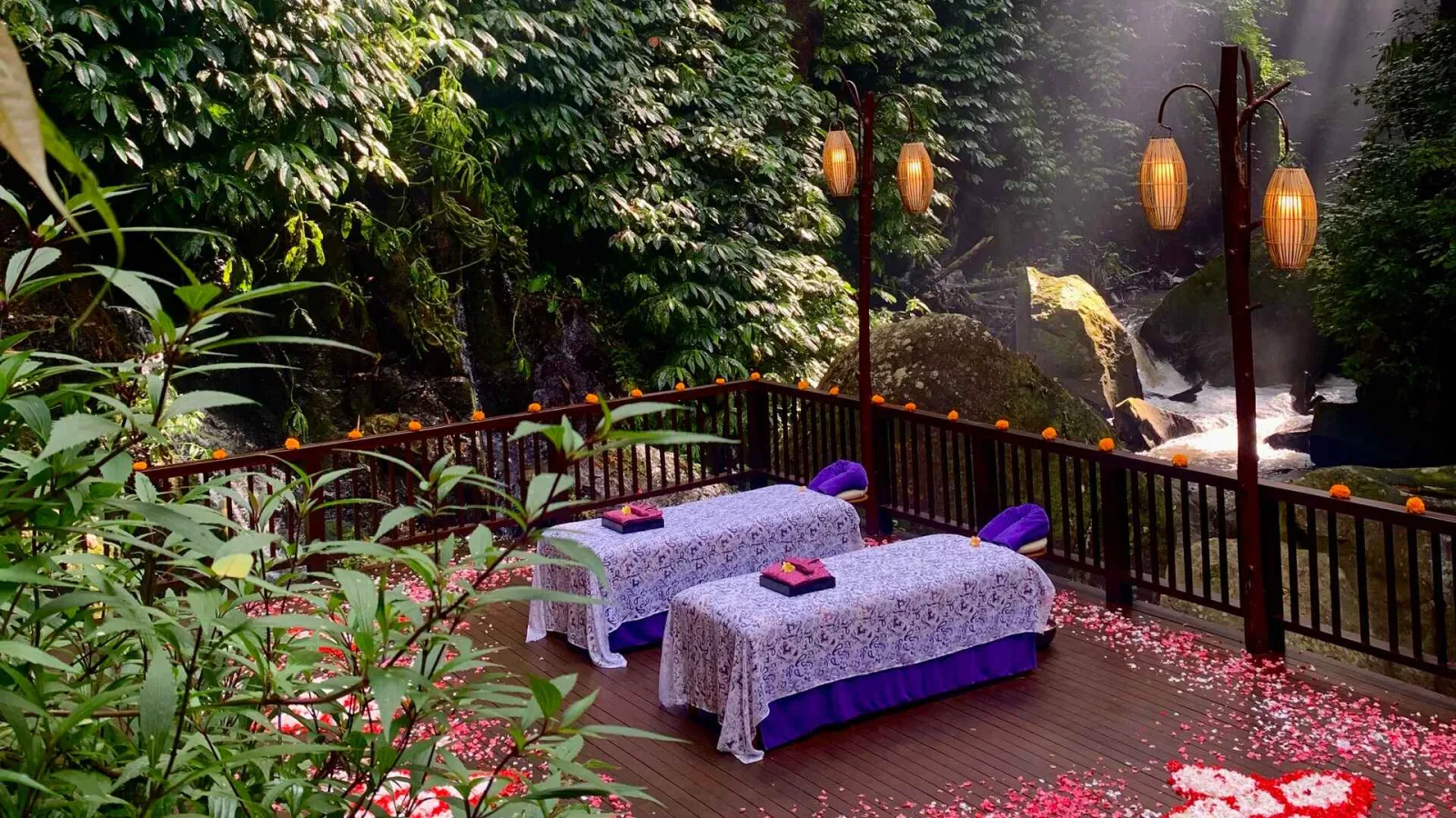 Spa & Wellness