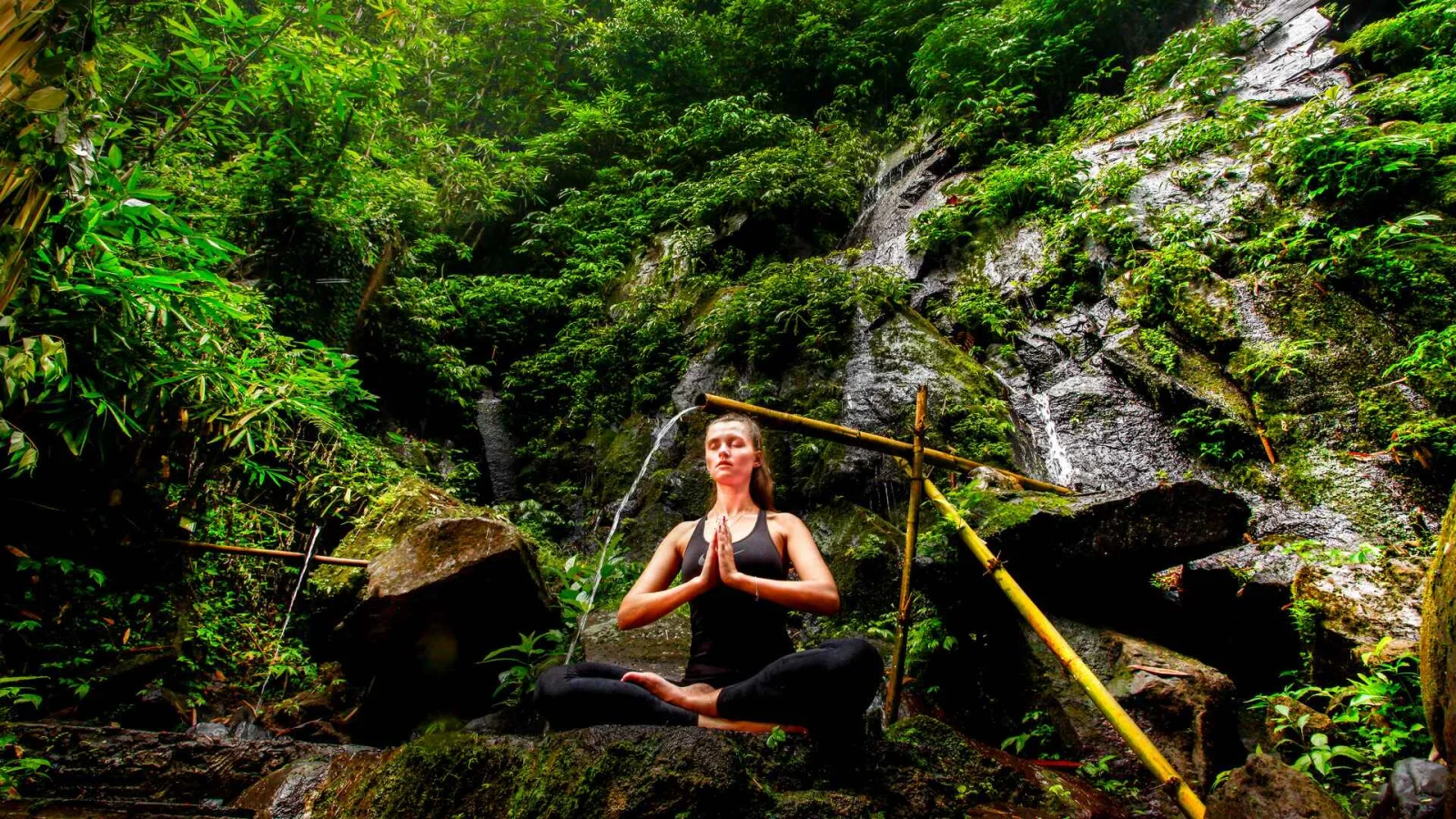 Begin Your Sacred Journey of Renewal and Healing