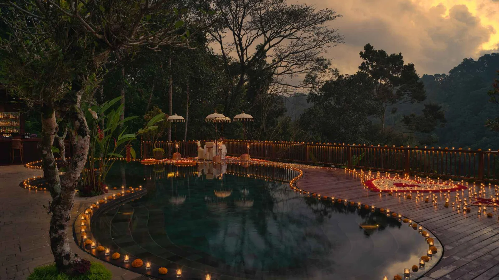 Moonlit Jungle Romance