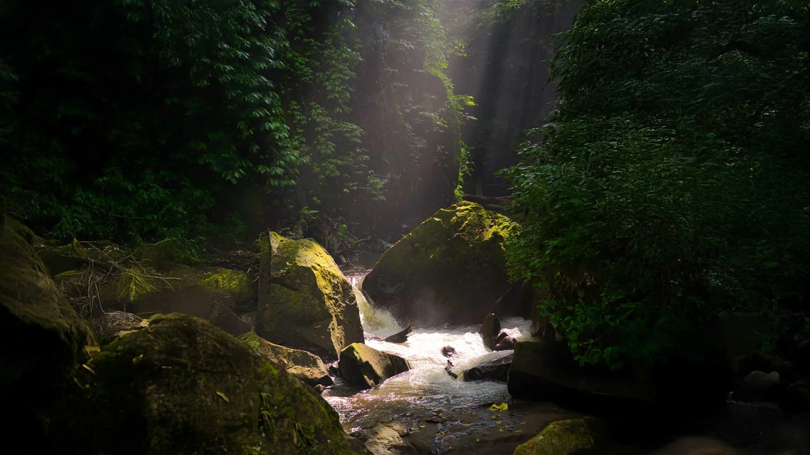 A Sanctuary of Wellness in Ubud